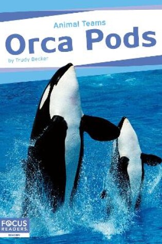 Cover of Animal Teams: Orca Pods