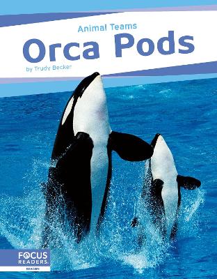 Book cover for Animal Teams: Orca Pods