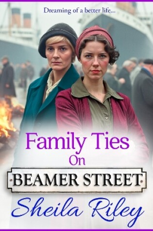 Cover of Family Ties on Beamer Street