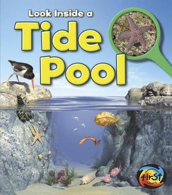 Book cover for Tide Pool