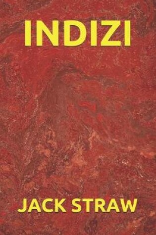 Cover of Indizi