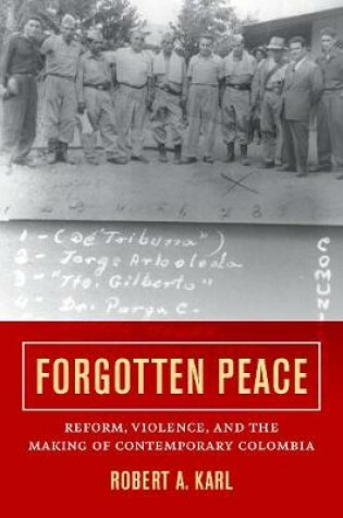 Cover of Forgotten Peace