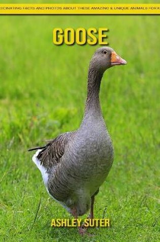 Cover of Goose