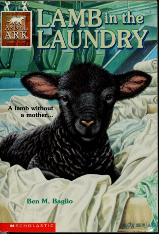 Book cover for Lamb in the Laundry: Lamb in the Laundry