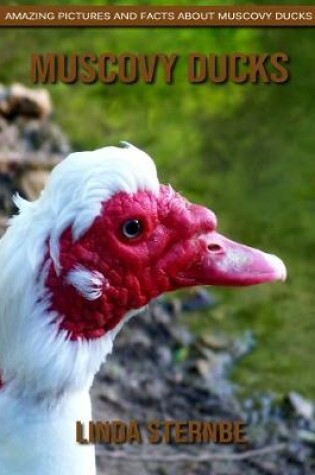 Cover of Muscovy Ducks