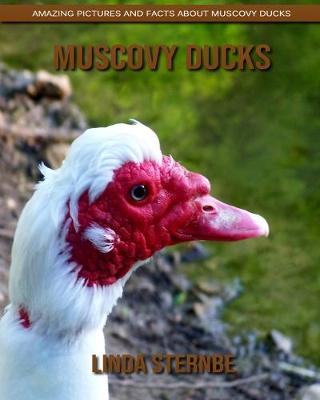 Book cover for Muscovy Ducks