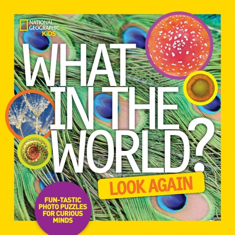 Book cover for What in the World: Look Again