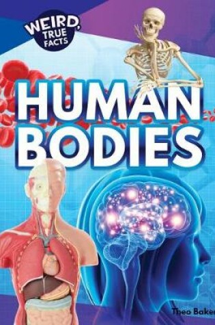 Cover of Human Bodies