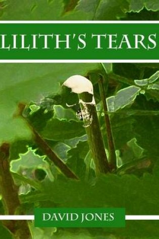 Cover of Lilith's Tears