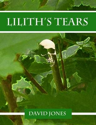 Book cover for Lilith's Tears