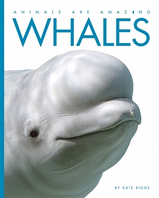 Cover of Animals Are Amazing: Whales