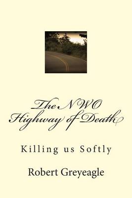 Book cover for The NWO Highway of Death