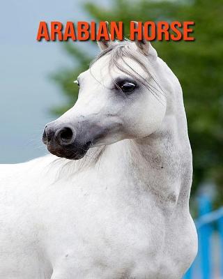 Book cover for Arabian Horse