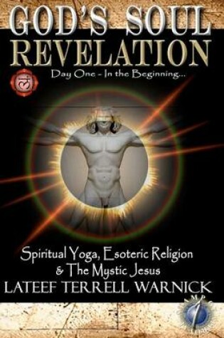 Cover of God's Soul Revelation