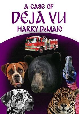 Cover of A Case of Déjà Vu