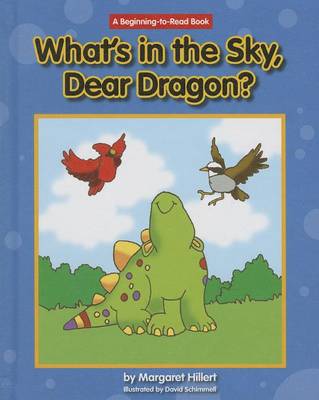 Book cover for What's in the Sky, Dear Dragon?