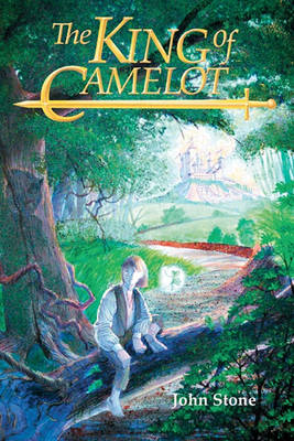 Book cover for The King Of Camelot