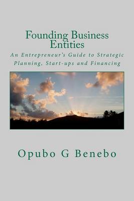 Book cover for Founding Business Entities