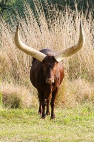 Cover of African Ankole Watusi Cow Journal