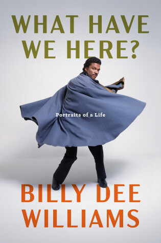 Cover of What Have We Here?