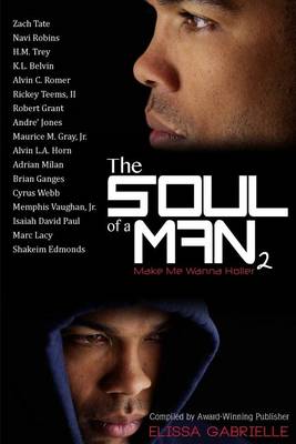 Book cover for The Soul of a Man 2