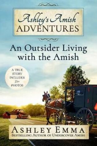 Cover of Ashley's Amish Adventures