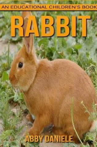 Cover of Rabbit! An Educational Children's Book about Rabbit with Fun Facts & Photos
