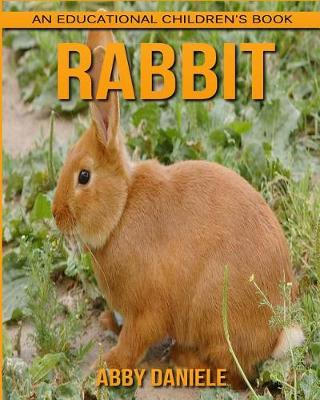 Book cover for Rabbit! An Educational Children's Book about Rabbit with Fun Facts & Photos