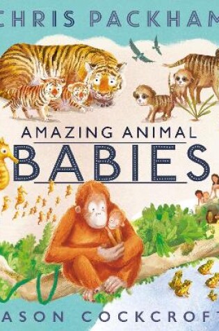 Cover of Amazing Animal Babies