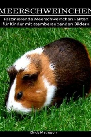 Cover of Meerschweinchen