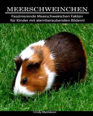 Book cover for Meerschweinchen