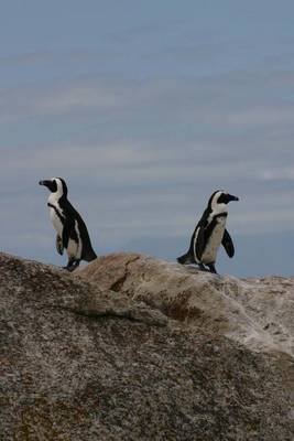 Book cover for Two Penguins on a Rock Journal