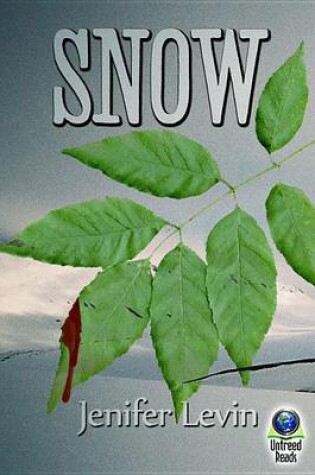 Cover of Snow