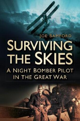 Cover of Surviving the Skies