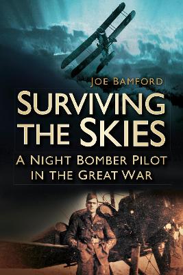 Book cover for Surviving the Skies