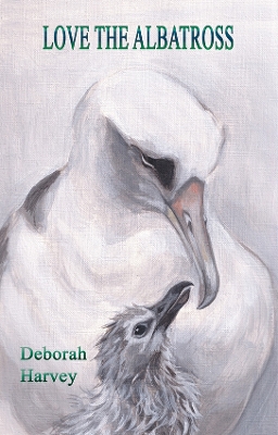 Book cover for Love the Albatross