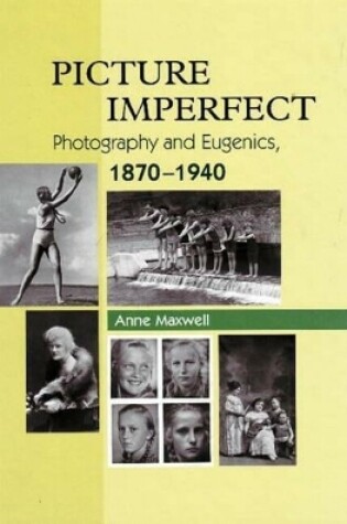 Cover of Picture Imperfect