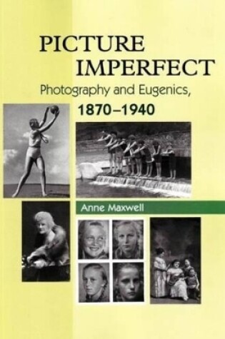 Cover of Picture Imperfect