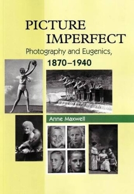 Book cover for Picture Imperfect