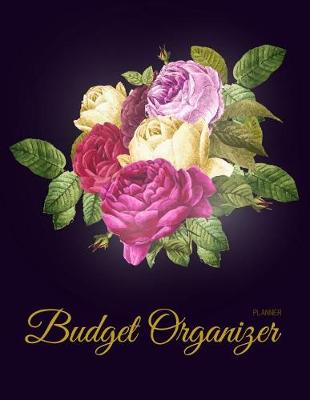 Book cover for Budget Organizer