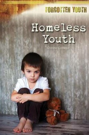 Cover of Homeless Youth
