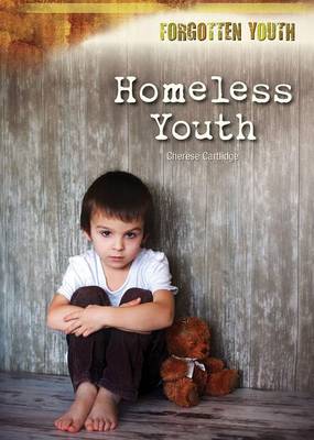 Book cover for Homeless Youth