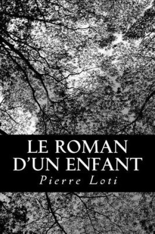 Cover of Le roman d'un enfant