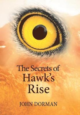 Book cover for The Secrets of Hawk'S Rise