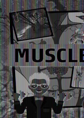 Book cover for Muscles