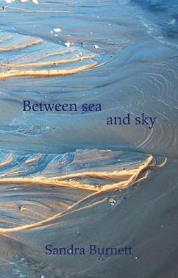 Book cover for Between sea and sky
