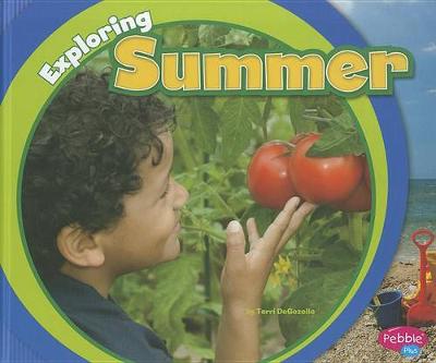 Book cover for Exploring Summer