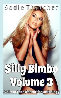 Book cover for Silly Bimbo Volume 3