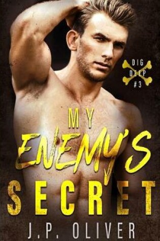Cover of My Enemy's Secret