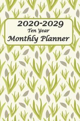 Book cover for 2020-2029 Ten Year Monthly Planner 6x9